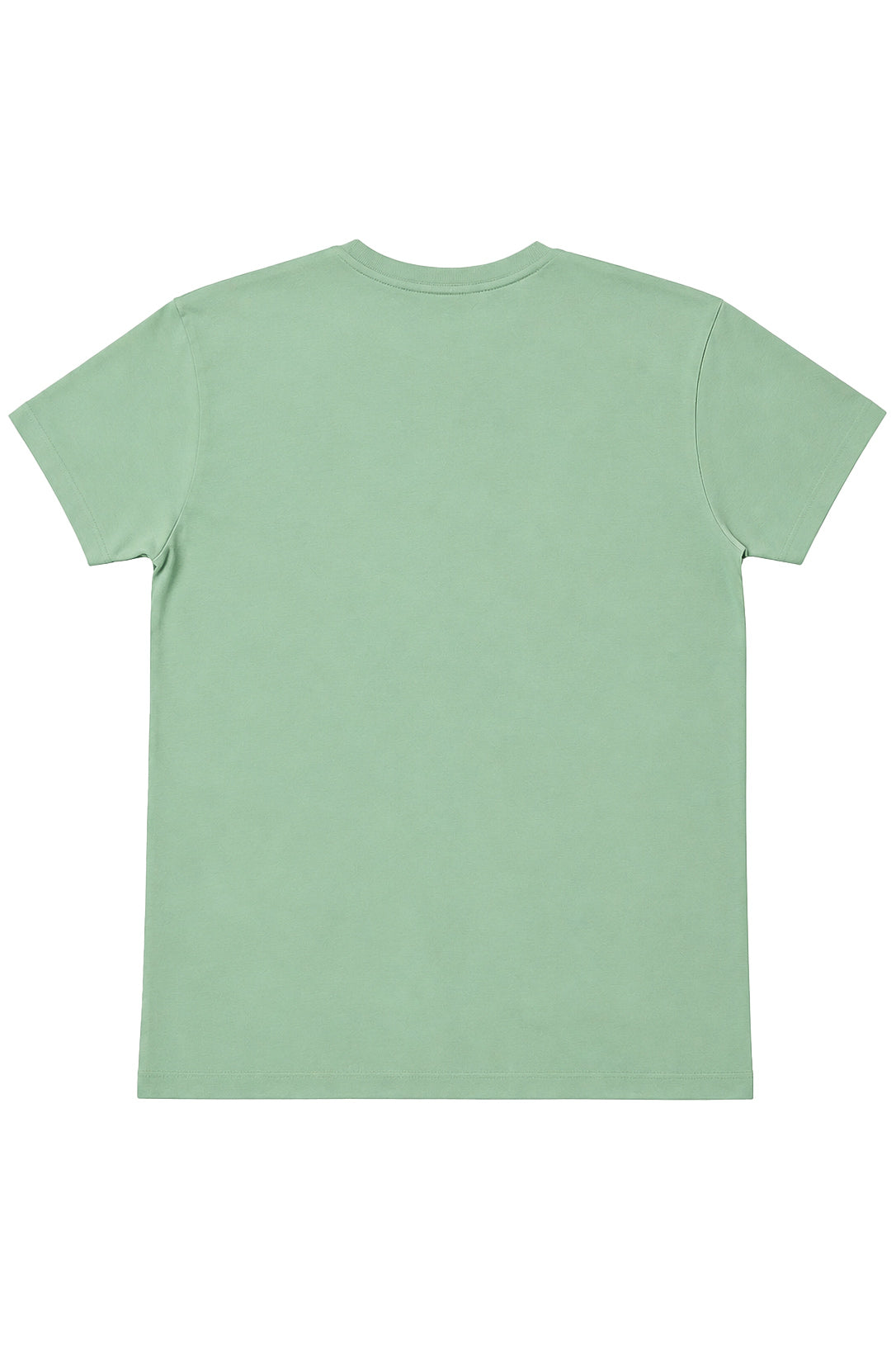 Tricou bărbați Basic Force, Sage
